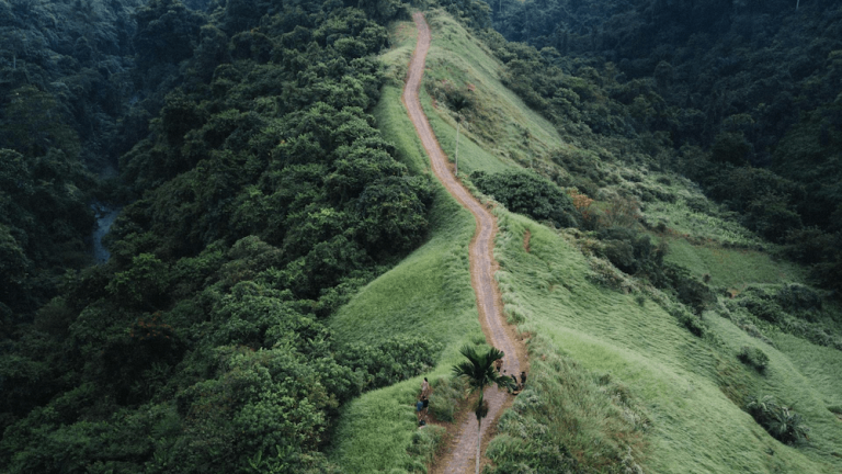 4 requirements to succeed in 2020 and beyond