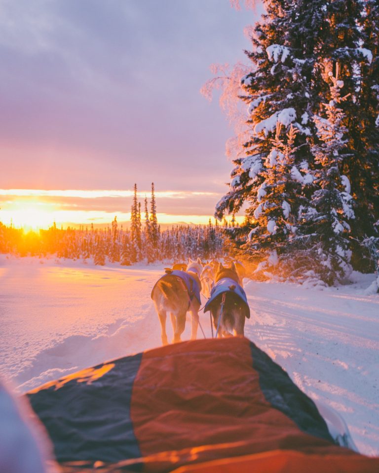 How Visit Rovaniemi sold €1M of bookings with local suppliers via Bókun