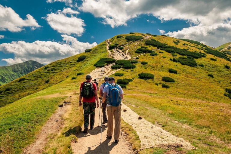 8 Best Peek Pro Alternatives: 2026 Comparison Guide