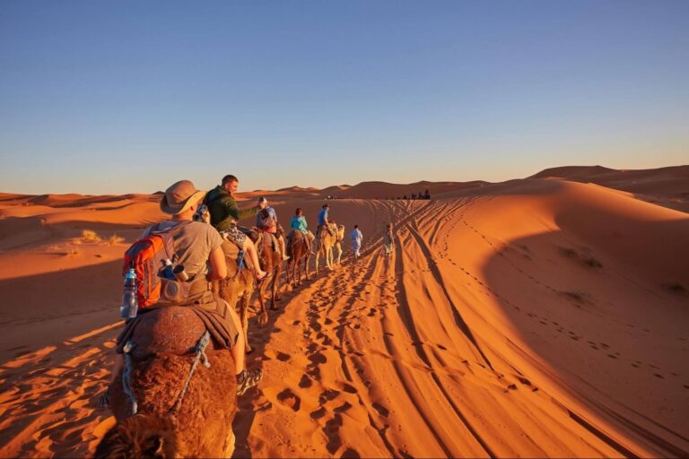 8 Best CRM Systems for Tour Operators: 2026 Comparison