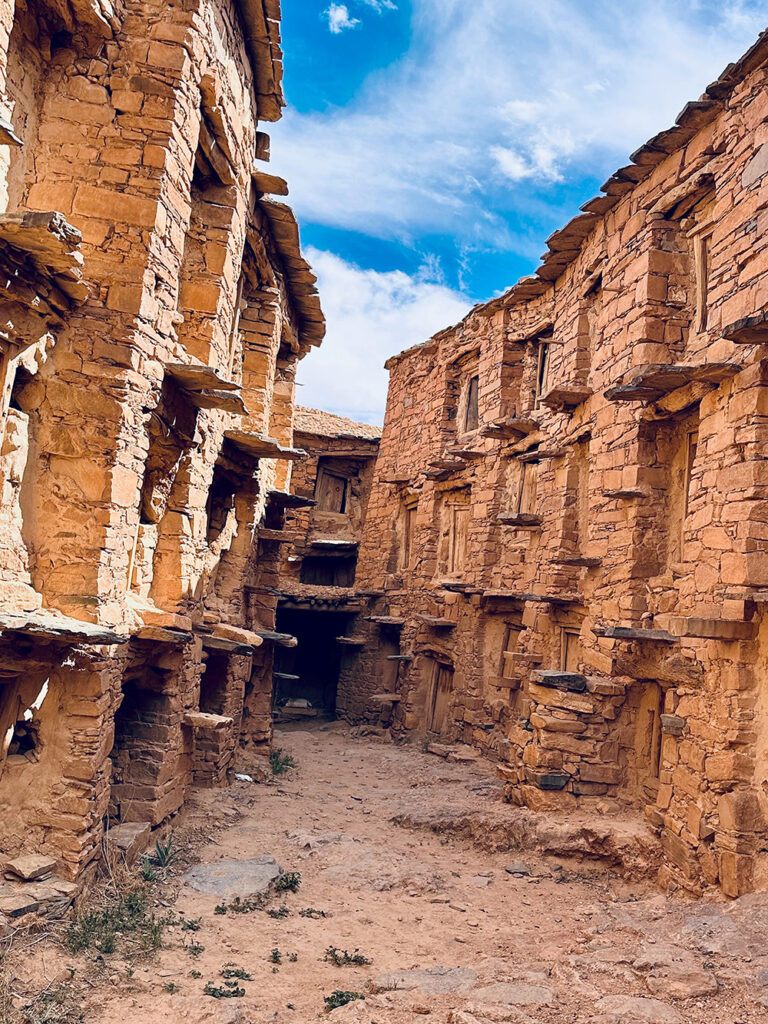 Going back to go forward: why ancestry travel is reshaping experiences