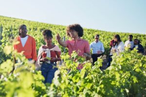 Ventrata Pricing Guide: What to Know Before You Buy