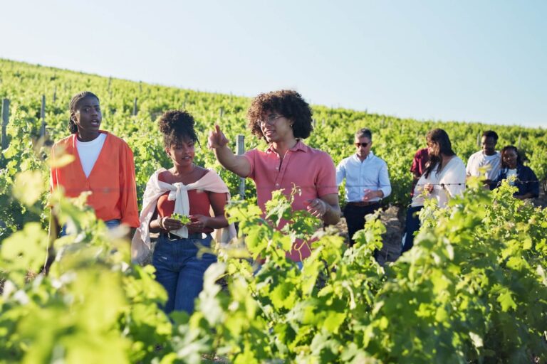 Ventrata Pricing Guide: What to Know Before You Buy