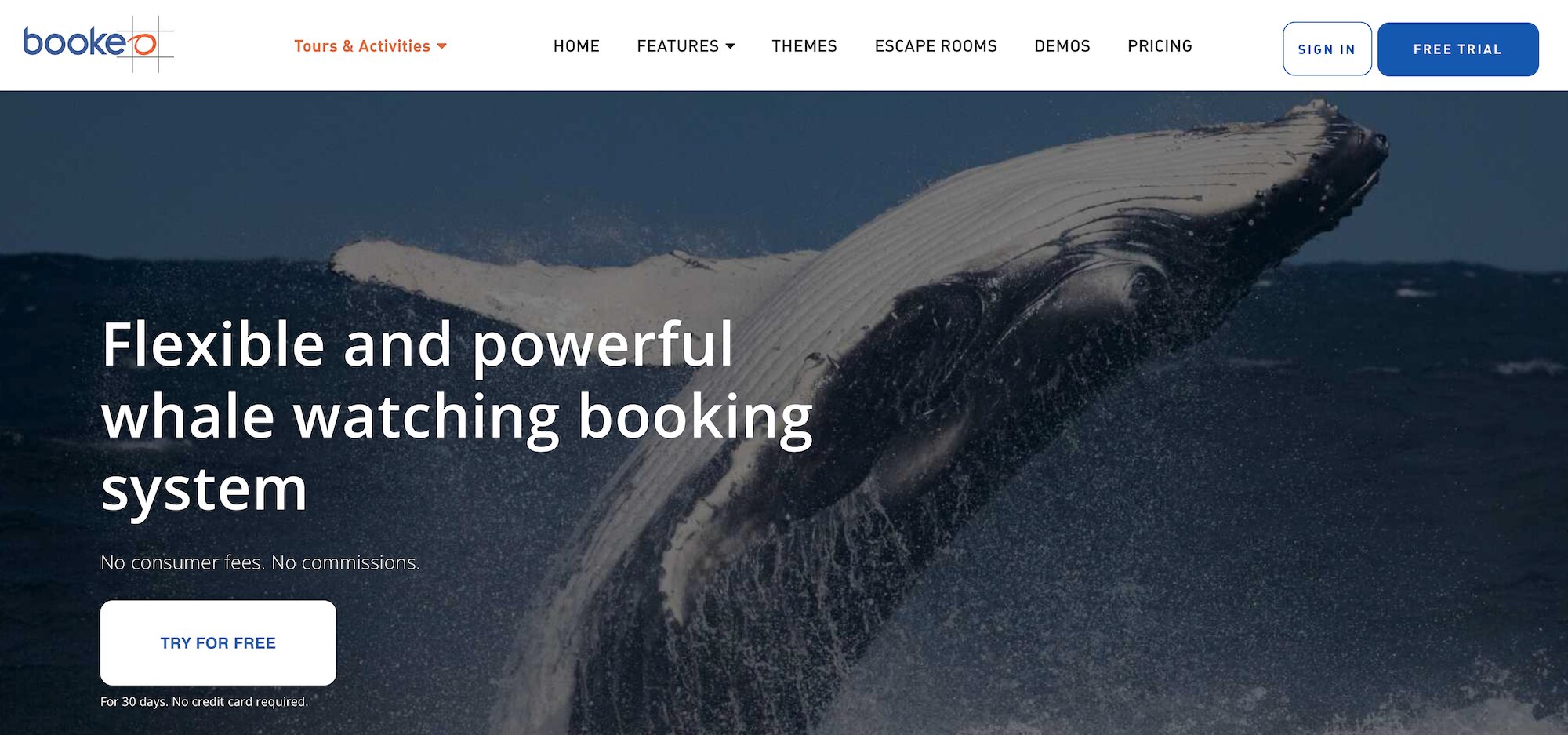 Bookeo Whale Watching Booking System landing page