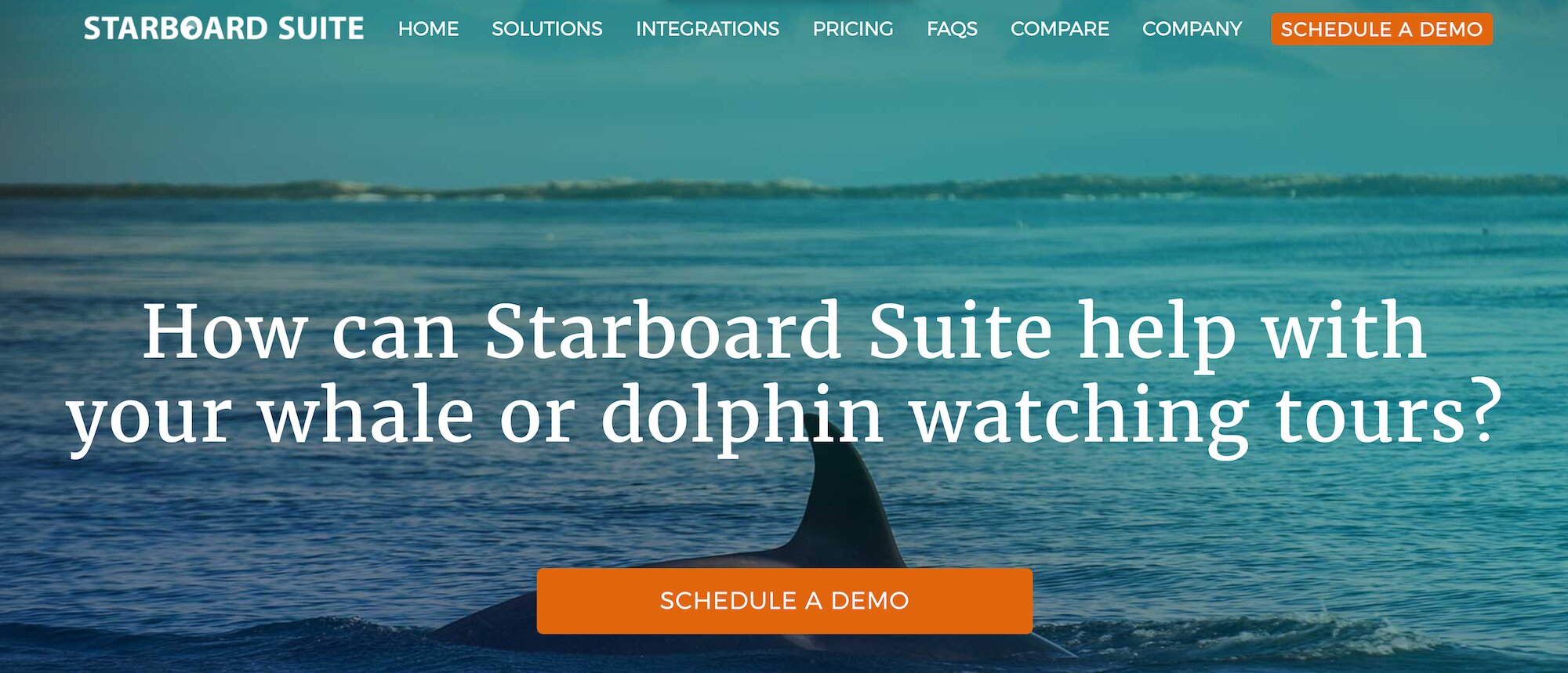 Starboard Suite Whale or Dolphin Watching Tours landing page