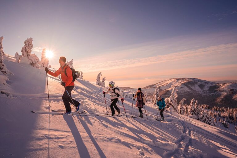 20 Top-Rated Tour Operator Software (2026 Comparison Guide)